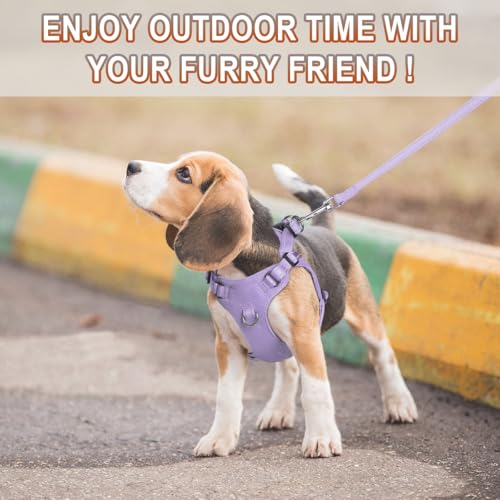 BARKBAY Dog Harness, Reflective Adjustable Puppy No Pull Harness, Breathable Soft for Small and Medium Dogs, Violet Purple, XXS - color: Violet Purple, size: XX-Small