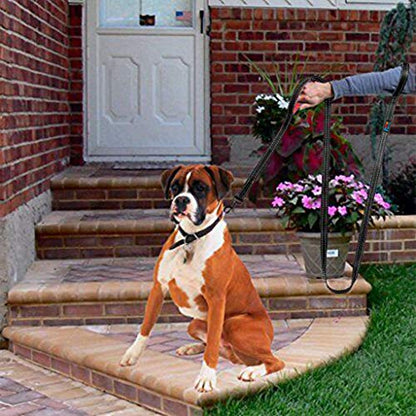 Powboro Double Handle Dog Leash, Heavy Duty Leash, Traffic Padded Handle, Reflective Stitching,6ft Long Dog Lead for Control All Dog Safety Training Walking Hiking (Black) - color: Black