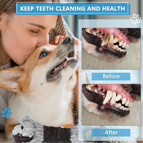 Letsmeet Plush Dog Squeak Toys with Crinkle Paper - Pull Interactive Tug of War Dog Toy, Great for Dental Health, Strengthening Bonds and Anxiety Relief for Puppies, Small, Medium, Large Dogs - color: Grey