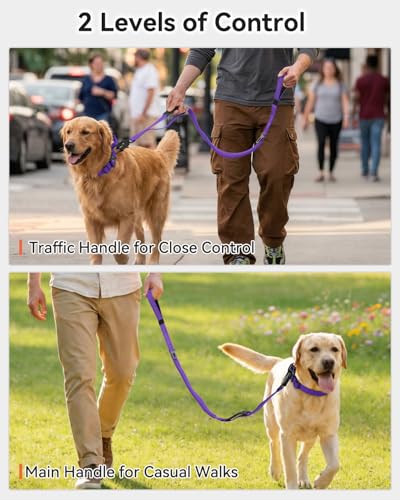 Joytale Tactical Dog Leash Heavy Duty, 4-6FT Shock Absorbing Bungee Lead with 2 Padded Handle, Metal Carabiner Clip, Car Seatbelt, Strong No Pull Leash for Medium Large X-Large Dogs, Purple - color: Purple