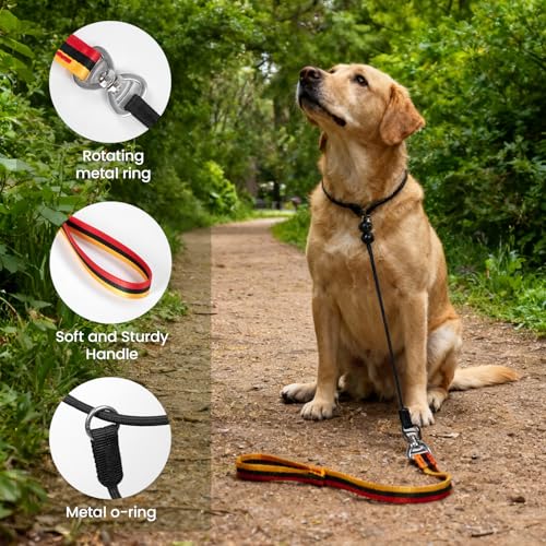4 FT Heavy Duty Dog Leash with 2 Padded Handles (Traffic Handle & Easy Snap Hook), Reflective Walking Lead for Large, Medium & Small Dogs (1" Wide, Black)
