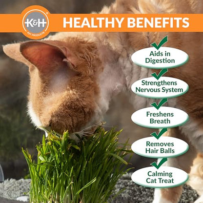 K&H Pet Products EZ Mount Cat Window Perch Deluxe Bolstered Kitty Sill with Cat Grass Grow Station - Hammock Window Bed for Indoor Pets, Home Grown Grass Toy for Bored Indoor Felines