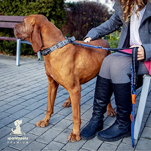 SparklyPets - Heavy Duty Bungee Rope Leash for Large and Medium Dogs - No Pull, Shock Absorber Long Dog Training Lead - No Slip Reflective Line for Outside (5.5 Ft Bungee Leash) - color: Adjustable Premium Blue