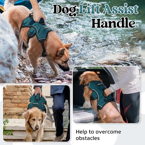 rabbitgoo Escape Proof Dog Harness Medium, Soft Padded Full Body Pet Harness, Reflective Adjustable No Pull Vest with Lift Handle and Leash Clip for Walking Hiking Training, Dark Green, M - color: Dark Green, size: Medium (Pack of 1)