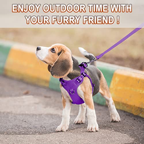 Dog Harness Step in Dog Vest Harness, Reflective Adjustable Puppy No Pull Harness Breathable Soft for Small and Medium Dogs Cats, Purple, XXS - color: Purple, size: XX-Small