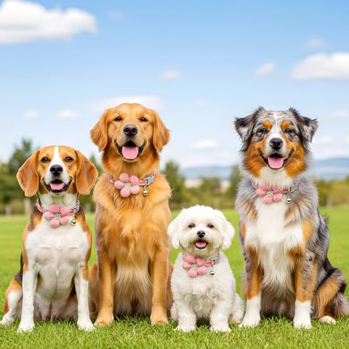 Small Dog Collar with Flower, Puppy Collar for Girl Dog Collars for Small Dogs Cute Collars with Bell, Adjustable Length Neckband (Pink)