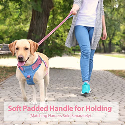 PHOEPET 5 Feet Dog Leash - Dual-Side Reflective - Soft Padded Handle - Fit for Walking, Training or Exploring Hiking, Camping (Baby Pink + Blue Base) - color: Baby Pink + Blue Base