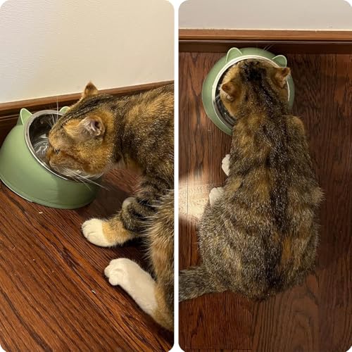 Stainless Steel Cat Food Bowl with Non-Slip Base, Easy to Clean Pet Feeding Dish, Food-Grade Pet Bowl for Cats and Small Pets - color: Green, size: 200ML