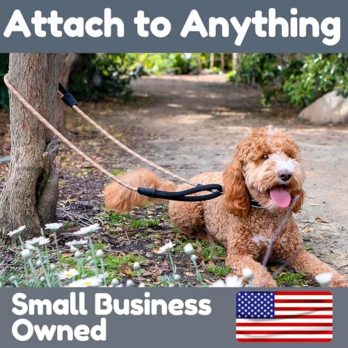 6 Foot Dog Leash, Two Extra Padded Handles, Locking Carabiner Clip, Reflective for Night Visibility, Weatherproof, Heavy Duty Rope Leash, Roam Gear (Brown) - color: Brown