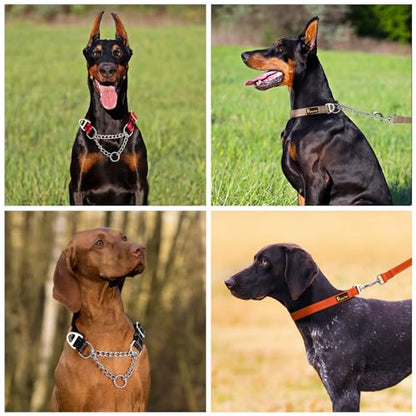 Plutus Pet Martingale Dog Collar with Stainless Steel Chain and Reflective Nylon, Adjustable No Pull Training Collar, for Small Medium, and Large Dogs, Lime Green, S - color: Lime Green, size: Small