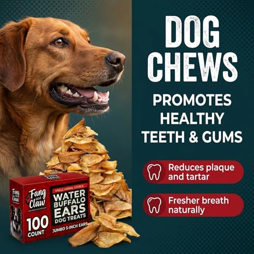 100 Count Water Buffalo Ears for Dogs, Bulk Pack, Jumbo 5-Inch - Pig Ear & Rawhide Alternative, Single-Ingredient Grass-Fed Long-Lasting Natural Dog Chews for Aggressive Chewers - style: 100 Count