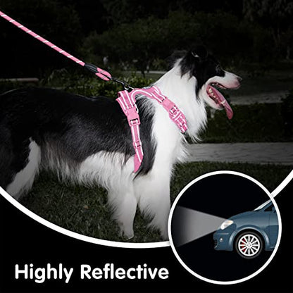 PoyPet No Pull Dog Harness and 5 Feet Leash Set, Release on Neck Reflective Adjustable Pet Vest, Front & Back 2 D-Ring and Soft Padded Pet Harness with Handle for Small to Large Dogs(Pink,S) - color: Light Pink, size: S