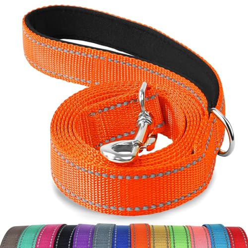 Joytale Dog Leash, 4 FT Double-Sided Reflective, Padded Handle Nylon Heavy Duty Leashes for Small Dogs Walking, Orange - color: Orange, size: 4 ft Narrow