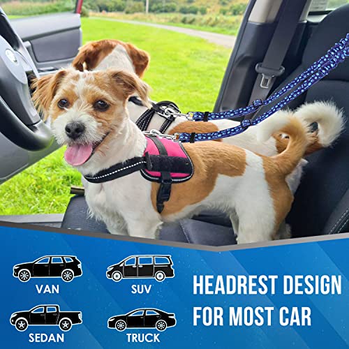 Lukovee Double Dog Seat Belt, New Dual Pet Car Headrest Restraint Safety Seatbelt No Tangle Dog Leash Duty Adjust Elastic Bungee Puppy Lead Splitter Connect Harness in Vehicle Travel for 2 Dogs (BL) - color: Blue Paw