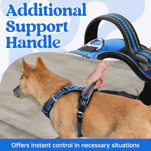rabbitgoo Dog Harness Small Sized, No Pull Dog Vest with 3 Buckles, Adjustable Soft Padded Pet Harness with Easy Control Handle and Reflective Strips, Blue, S - color: Blue, size: Small
