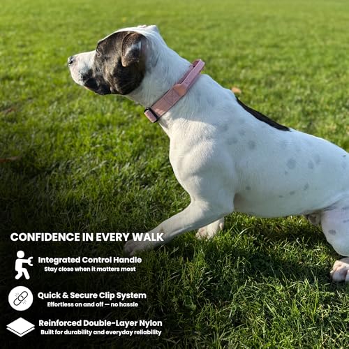 BULLYBREED | Heavy Duty Dog Leash, Tactical Dog Leash, Quick Release Frog Clip with Anti-Tangling Swivel System for Large Dogs that Pull with Soft Double Handles (5 FT Long, Pink) - color: Light Pink Double Handle