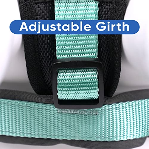 Pawtitas Reflective Padded Dog Harness for X-Small Dogs – Adjustable Puppy Step-in Vest | Fits Chest 14–18 in | No Pull Training Harness | XS | Teal - color: Teal, size: X-Small (Pack of 1)