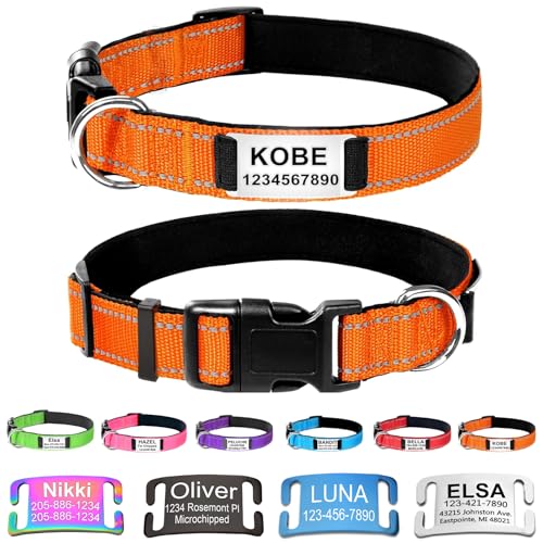 Custom Dog Collars with Name Plate, Engraved Name Plate ID Tags with Reflective Nylon Dog Collar,Soft Neoprene Padded Adjustable Pet Collar for Small Medium Large Dogs,S Orange - color: Orange, size: S(10-16") x 3/4"