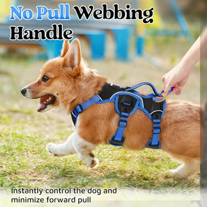rabbitgoo Escape Proof Dog Harness Large Dogs, Soft Padded Full Body Pet Harness, Reflective Adjustable No Pull Vest with Lift Handle and Leash Clip for Walking Hiking Training, Blue & Black, S - color: Blue & Black, size: Small (Pack of 1)
