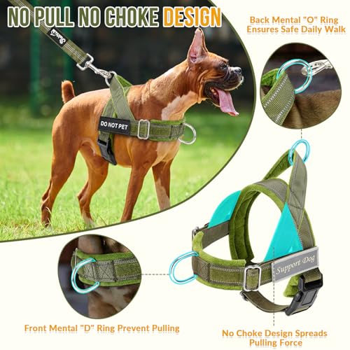Lukovee No Pull Dog Harness and Leash Set - Heavy Duty Dog Vest with Soft Velvet Padding for Medium Large Dogs, Adjustable Reflective Tactical Harness with 2 Control Handles & Front Clip (XL, Green) - color: Green, size: X-Large