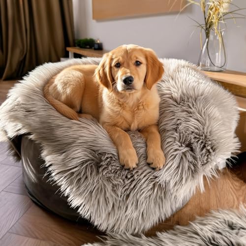 IHAPPYDOG Waterproof Faux Fur Dog Blanket – Pet Throw & Couch Protector for Sofa, Bed, Furniture – Plush Pup Cover for Small Medium Large Dogs – Machine Washable – Grey – 60" x 50" - color: Grey, size: 60" x 50"
