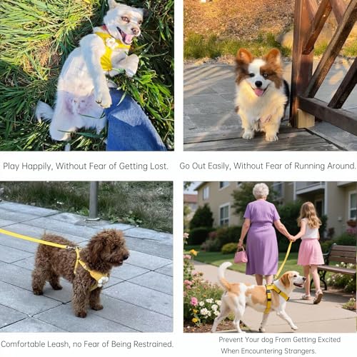 Cute Small Dog Harness with Daisy Embroidery, Breathable Dog Vest Adjustable Pet Puppy Harness Suitable for Walking, Running, Training, Everyday Wear - color: Yellow, size: XS