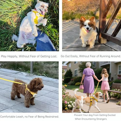 Cute Small Dog Harness with Daisy Embroidery, Breathable Dog Vest Adjustable Pet Puppy Harness Suitable for Walking, Running, Training, Everyday Wear - color: Yellow, size: XS