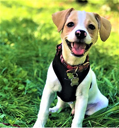 EcoBark Dog Harness - Eco-Friendly Max Comfort Harnesses - Luxurious Soft Mesh Halter - Over the Head Harness Vest- No Pull and No Choke for Puppy, Toy Breeds & Small Dogs (Small, Black) - color: Black