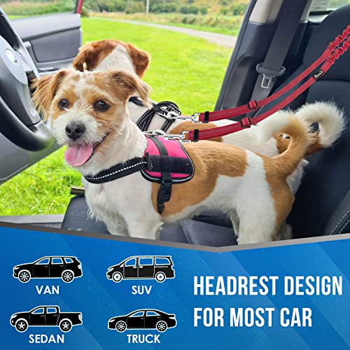 Lukovee Double Dog Seat Belt, New Dual Pet Car Headrest Restraint Safety Seatbelt No Tangle Dog Leash Duty Adjust Elastic Bungee Puppy Lead Splitter Connect Harness in Vehicle Travel for 2 Dogs (Red) - color: Red