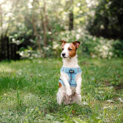 PUPTECK Soft Mesh Dog Harness and Leash Set Pet Puppy Cat Comfort Padded Vest No Pull Harnesses, Light Blue, XS - color: Blue, size: XS (NECK: 10", CHEST: 10"-14")