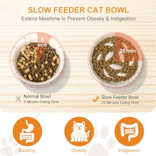 Anti-Bloat Ceramic Slow Feeder Bowl - Fish Pool Design Interactive Puzzle Feeder for Cats & Small Dogs, Food-Safe Porcelain Healthy Eating Dish (White-Ceramic) - color: White-Ceramic