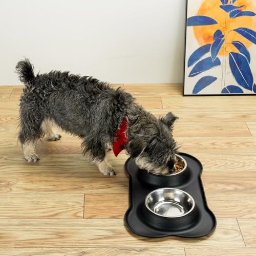Conlun Stainless Steel Dog Bowls with Non-Slip Silicone Mat, Spill Proof Food & Water Bowls Set, Easy Clean Puppy Food Dish, Dishwasher Safe, Suitable for Dogs Cats Pet Under 20lbs, Small, Black - color: Black, size: Small-13 oz