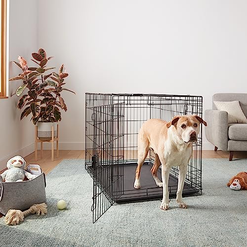Amazon Basics Portable Metal Wire Dog Crate for Large Dogs, Double Door with Removable Tray, Divider Panel, Easy to Assemble, 48" x 30" x 32.5", Black - size: 48.0"L x 30.0"W x 32.5"H, style: Double Door w/ Divider