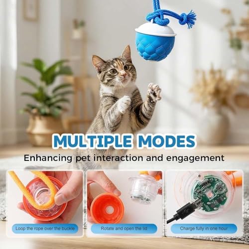 Interactive Dog Toys Motion Activated Automatic Rolling Ball Toys for Small/Medium/Large Dogs Balls for Boredom to Keep Them Busy with USB Rechargeable(Blue) - color: blue