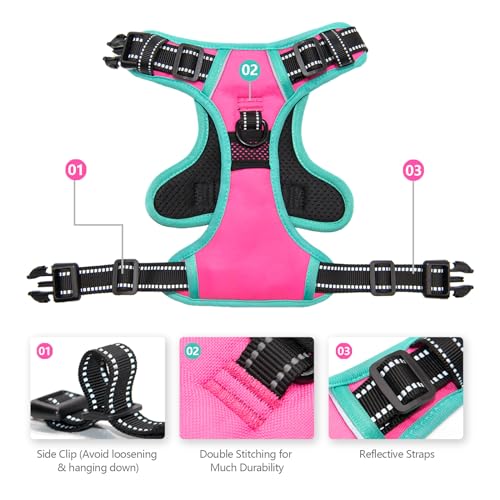 PHOEPET 2019 Upgraded No Pull Dog Harness, Reflective Adjustable Vest, with a Training Handle + 2 Metal Leash Hooks+ 3 Snap Buckles +4 Slide Buckles(L, Pink) - color: Pink, size: Large