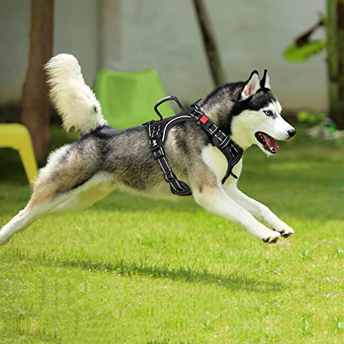 PoyPet No Pull Dog Harness, No Choke Front Clip Reflective Dog Vest with Soft Padded Vertical Handle, 3 Leash Attachments for Small Medium Large Dogs (Black,L) - color: Black, size: Large