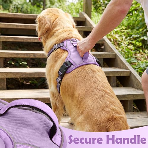 Funfox Dog Harness No Pull, Adjustable Pet Vest Harness, Super Soft Material with Vertical Handle Easy Control, Reflective Night Walking, 2 Leash Clips for Small Sized Dogs, Purple, S - color: Purple, size: Small