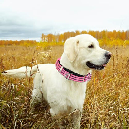 Martingale Dog Collars Reflective Nylon Dog Collar with Quick Release Buckle Adjustable Training No Slip Dog Collar (Small,Pink) - color: P, size: S
