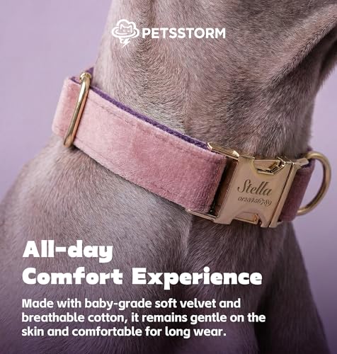 Dog Collar Personalized with Name Engraved - Light Gold Quick Release Buckle, Soft Velvet Lined, Comfortable Gift for Small, Medium, Large Dogs - color: Multicolor Velvet