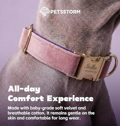 Dog Collar Personalized with Name Engraved - Light Gold Quick Release Buckle, Soft Velvet Lined, Comfortable Gift for Small, Medium, Large Dogs - color: Multicolor Velvet