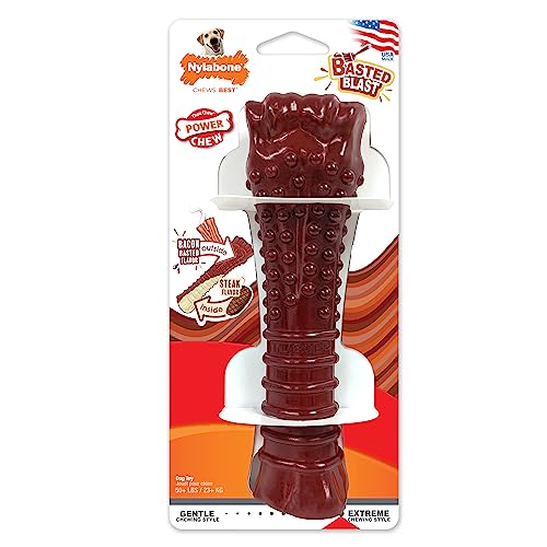 Nylabone Textured Bone Power Chew Toy for Dogs, Durable & Tough Dog Toys for Aggressive Chewers, Basted Blast Bacon and Steak Flavor, X-Large Dogs - 50+ lbs, 1 Count - size: X-Large