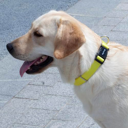 Small Dog Collar Quick-Release Yellow| Heavy-Duty Nylon Puppy Collar, Adjustable & Durable Pet Supplies for Boy & Girl Dogs (Small, Illuminating Yellow) - color: Luminous Yellow, size: Small