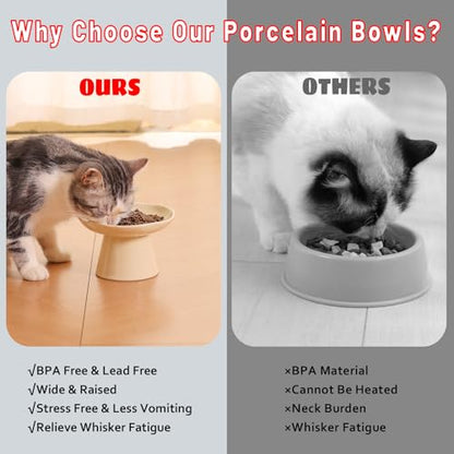 Wide Shallow 6.1" Raised Cat Bowls, Ceramic Elevated Food Plate for Flat Faced Cats and Small Dogs, Porcelain Feeder Bowl, Stress Free, Protect Cat’s Spine, Cream - color: Cream-Shallow