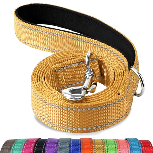 Joytale Dog Leash, 4 FT Double-Sided Reflective, Padded Handle Nylon Heavy Duty Leashes for Small Dogs Walking, Khaki - color: Khaki, size: 4 ft Narrow
