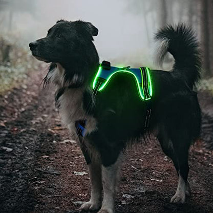 Safety LED Dog Harness - Light Up Dog Vest, No-Pull Dog Harness - Rechargeable Glowing Pet Harness for Night Walking & Camping (Blue+Green Light, Medium) - color: Blue+Green Light, size: Medium