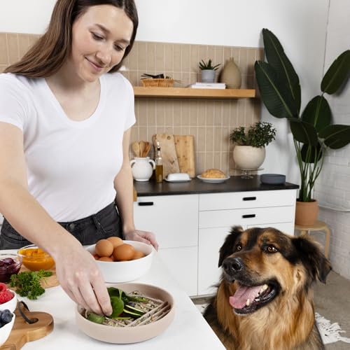 Should We Go? Slow Feeder for Dogs & Cats, The Slowdown Bowl Silicone Slow Eating, Modern Lick Mat Design, Reduces Gulping, Fits 2 Cups, 7.5” Across x 1.5” Tall, Mealtime Challenge, Medium-Sand - color: Sand - Rainbow Design, size: Medium (7.5” Across x 1