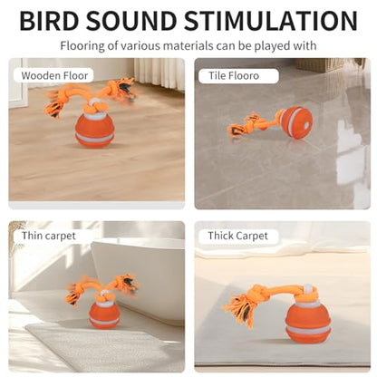 Interactive Dog Cat Toys Dog Ball,Automatic Rolling and Bouncing Moving Dog Toy,Squeaky Rolling Balls with Flashing Light,USB Rechargeable Chew Toys for Puppy Small Dogs, Pet Ball to Keep Them Busy - color: 1 Blue +1 Orange