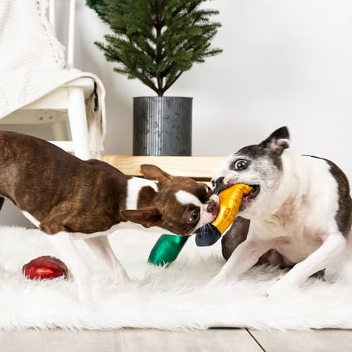 Fringe Studio Plush Dog Toy Set, Light Up My Life, 3 Piece Set, Pet Shop Collection (662060) - color: Llight up my Life