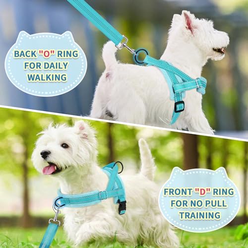SlowTon No Pull Small Dog Harness and Leash Set, Puppy Soft Vest Harness Neck & Chest Adjustable, Reflective Lightweight Harness & Anti-Twist Pet Lead Combo for Small Medium Dogs(BL-Front Clip,S) - color: B-Teal - With Front Clip, size: Small