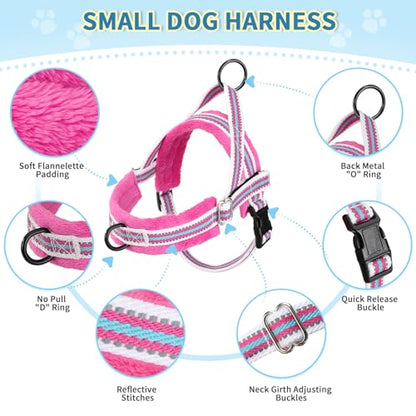Lukovee No Pull Dog Harness and Leash Set, Soft Padded Small Dog Harness, Neck & Chest Adjustable Reflective Vest Puppy Harness with 4ft Lightweight Anti-Twist Dog Leash for Small Dogs (XS, Fuschia) - color: Fuchsia - with Stripe, size: XS ( Chest 14'' ~